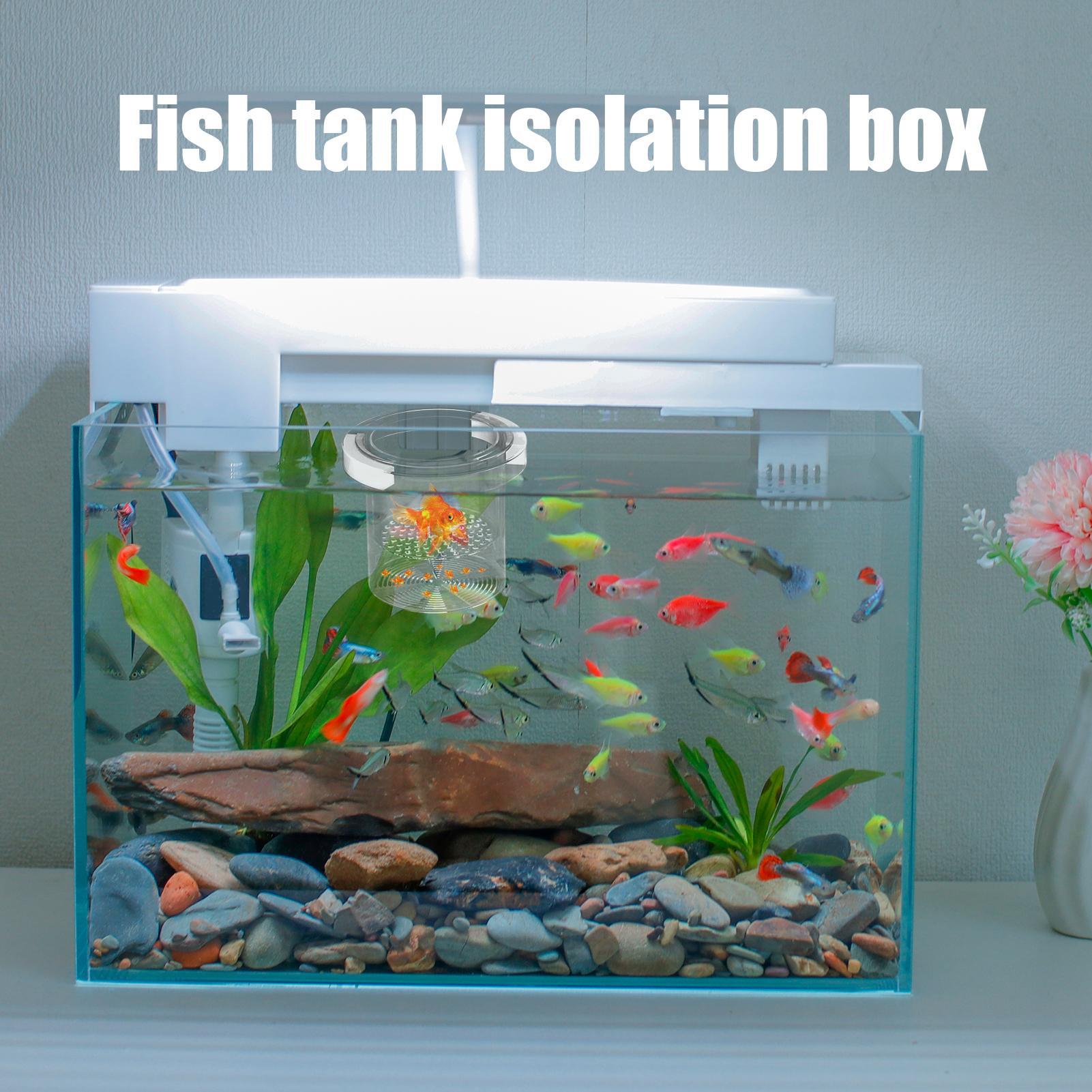 Aquarium Fish Betta - Caja de cría de peces, caja