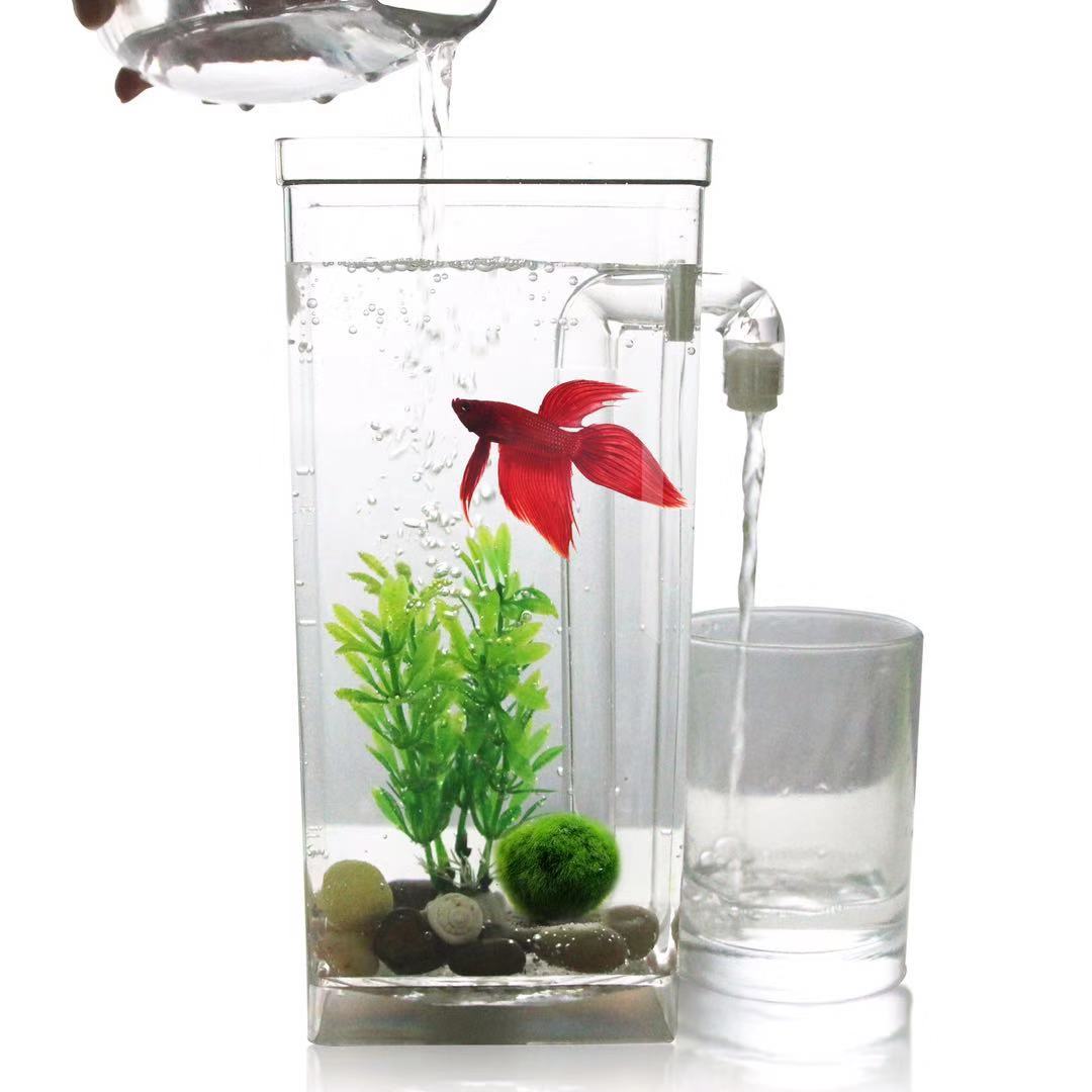 Betta Fish Tank - Tanque de peces de escritorio con