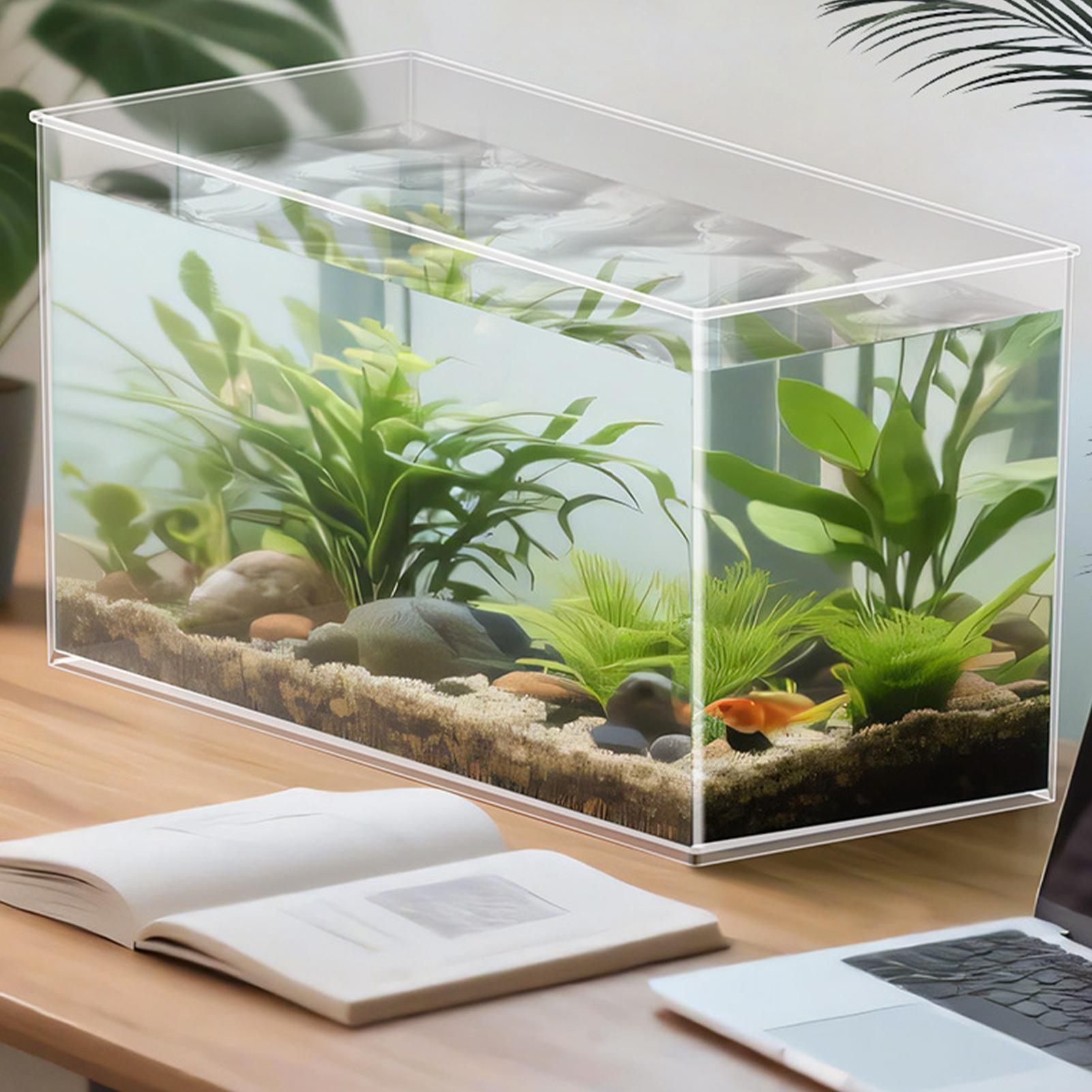Betta Fish Tank - Pecera pequeña para Bettas, terrarios de