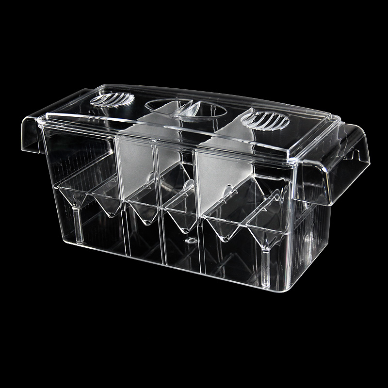 Caja de aislamiento transparen - Betta Fish Tank reseña y precio