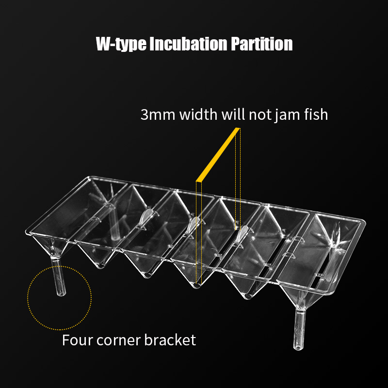 Caja de aislamiento transparen - Betta Fish Tank reseña y precio