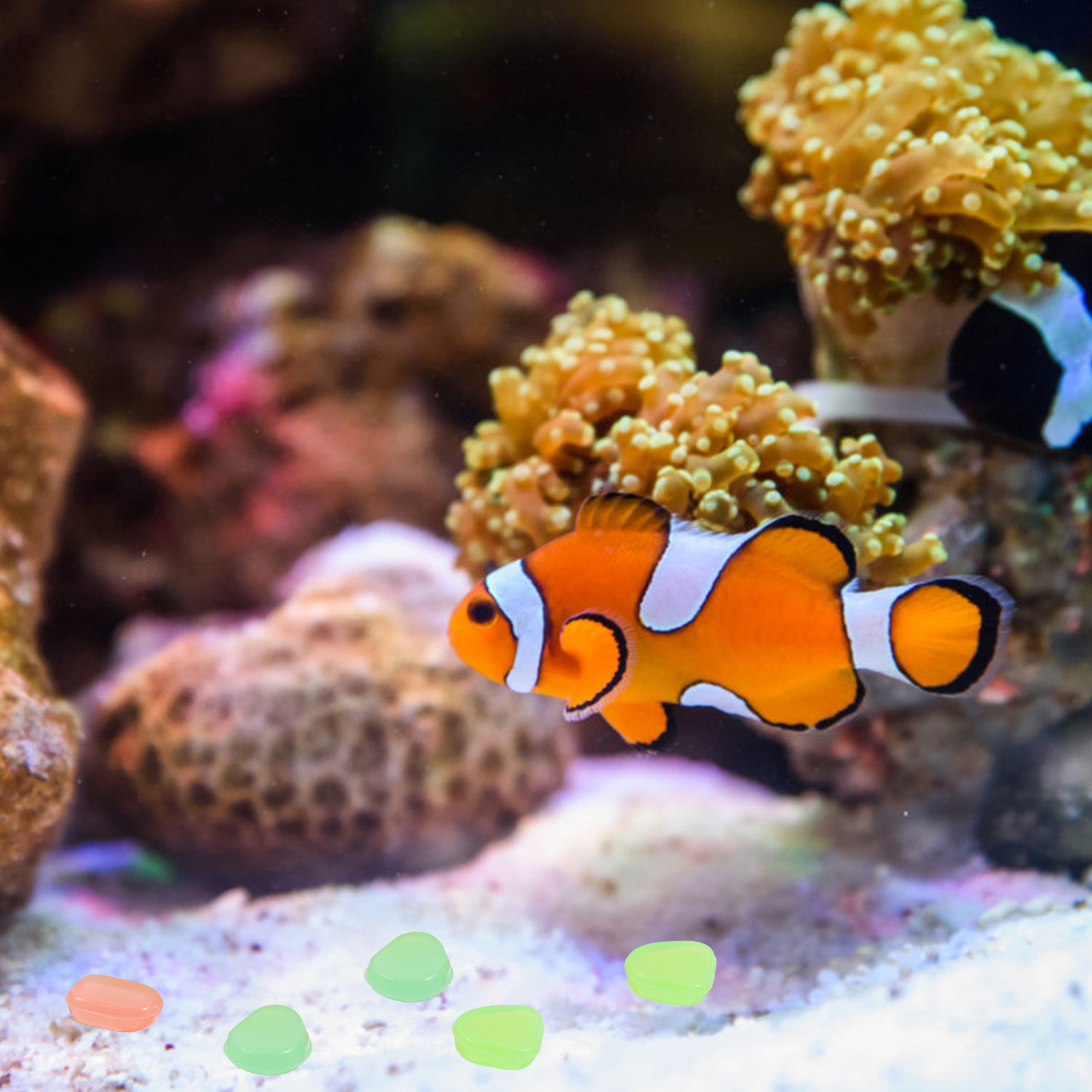 400 piezas de guijarros que br - Fish Tank Gravel reseña y precio