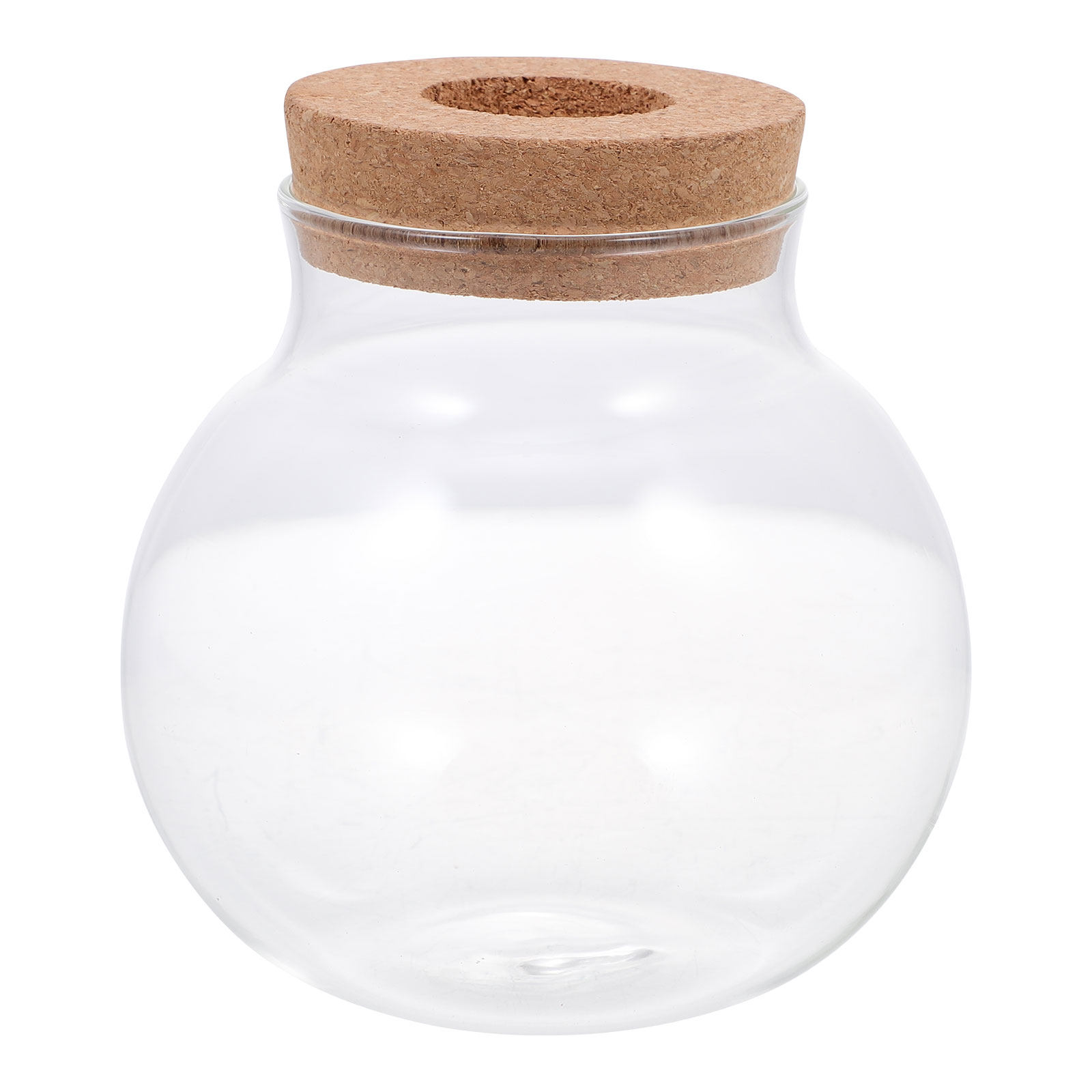 Terrario de cristal para micro - Aquarium Fish Keeping reseña y precio