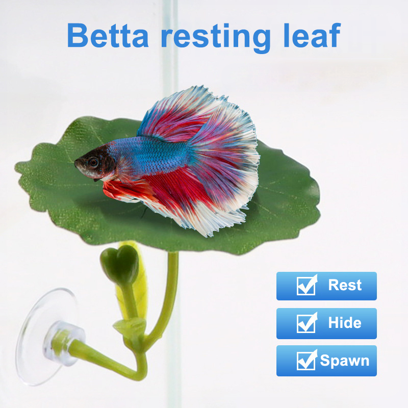 (Ce14) 1/5PC Hamaca de hojas v - Betta Fish Tank reseña y precio