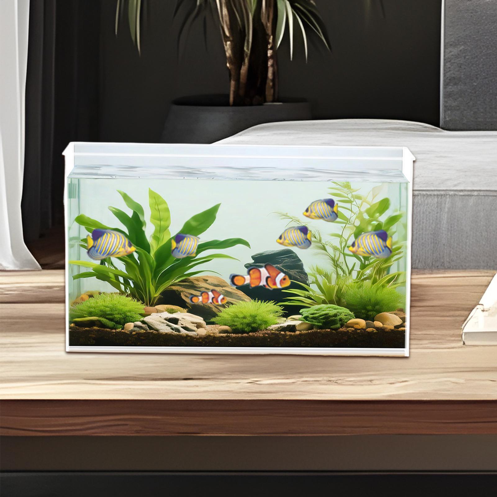 Pecera pequeña para Bettas, te - Betta Fish Tank reseña y precio