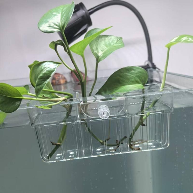 Cesta para Plantas Hidropónica - Aquarium Decor reseña y precio