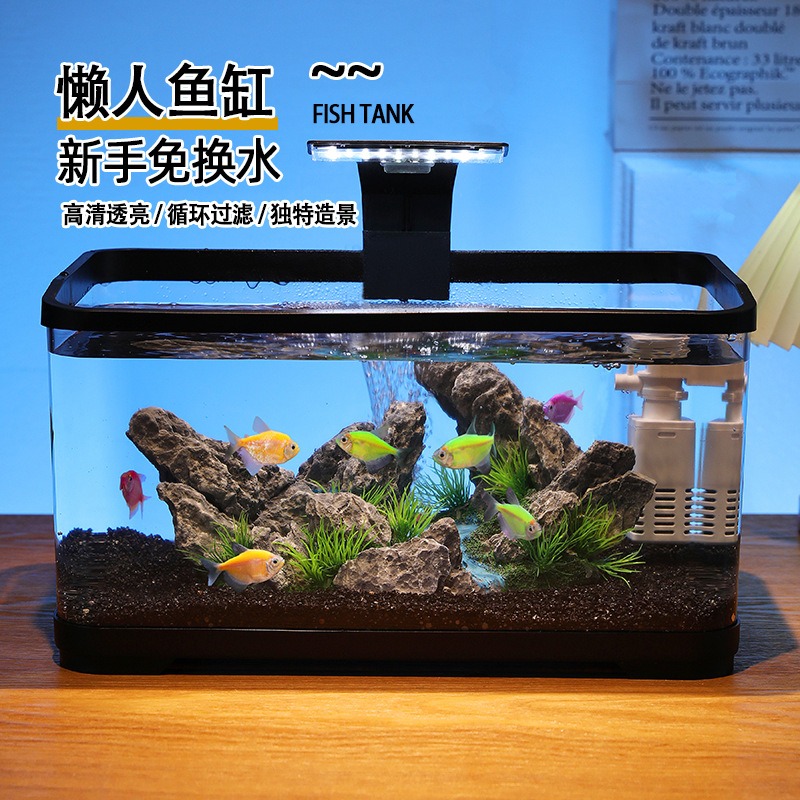 Acuario de sobremesa con filtr - Fish Tank Filter reseña y precio