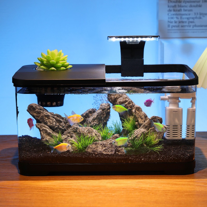 Acuario de sobremesa con filtr - Fish Tank Filter reseña y precio