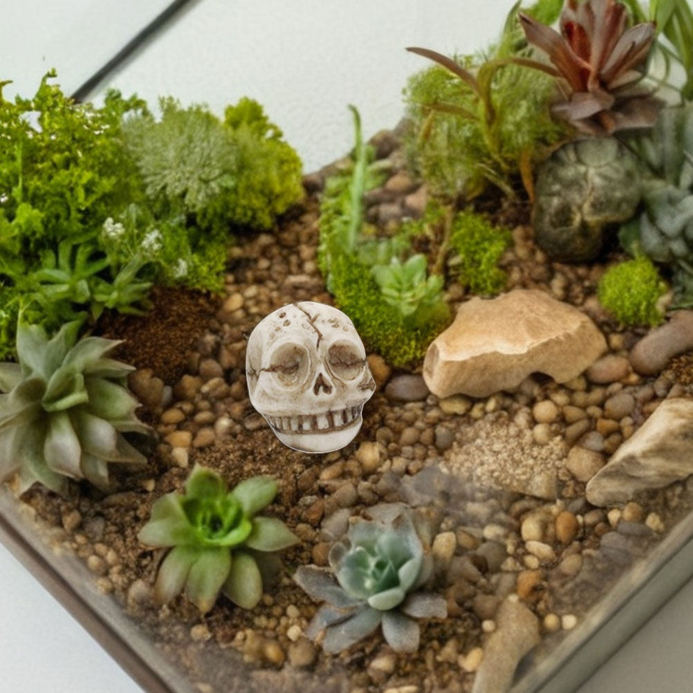 20 piezas de estatuillas de ca - Aquarium Decor reseña y precio