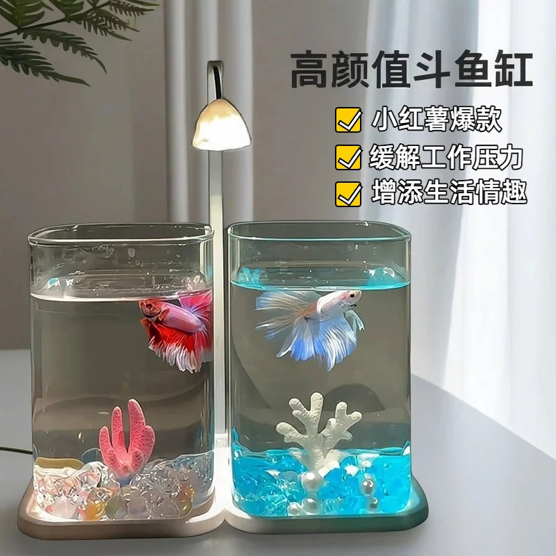 Mini acuario de escritorio con - Betta Fish Tank reseña y precio