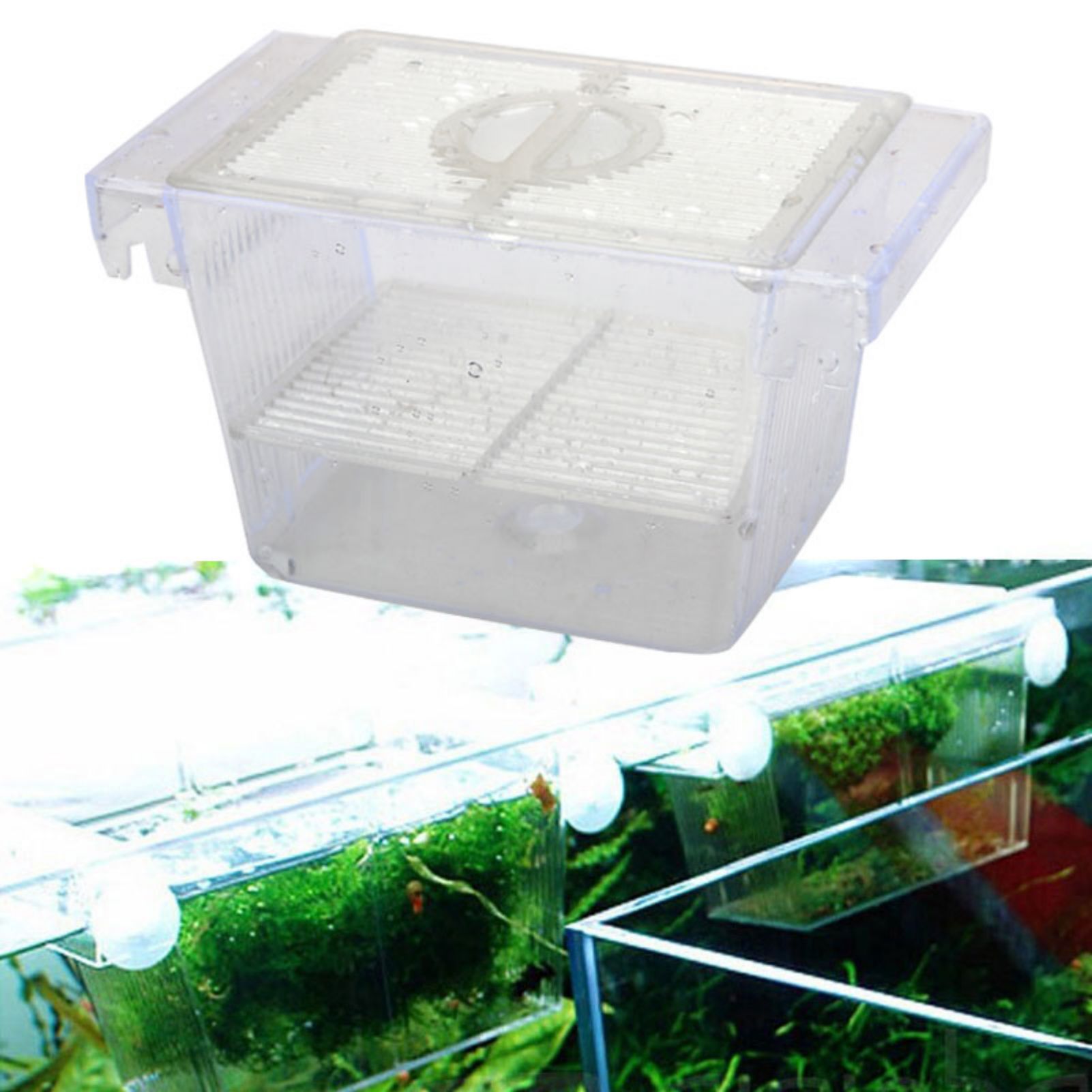 Caja de Cría para Peceras, Inc - Betta Fish Tank reseña y precio